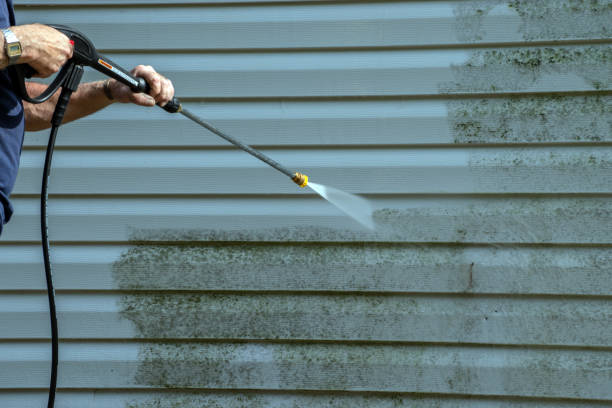 Best Sidewalk and Walkway Cleaning  in Warm Springs, CA